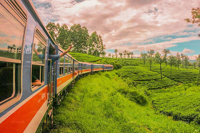 Kandy to Nanu Oya Transfer+Free Train Ticket Nanu Oya > Ella