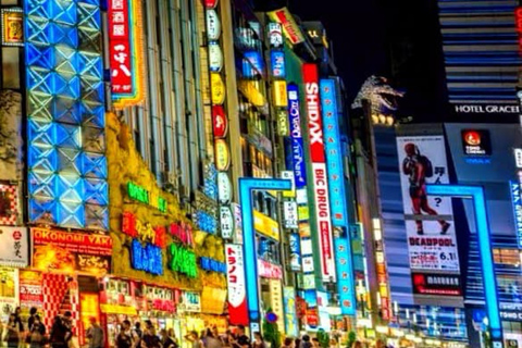 Tour privato di un giorno di Tokyo con autista parlante inglese