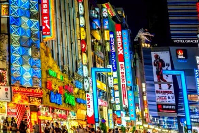 Tour privato di un giorno di Tokyo con autista parlante inglese