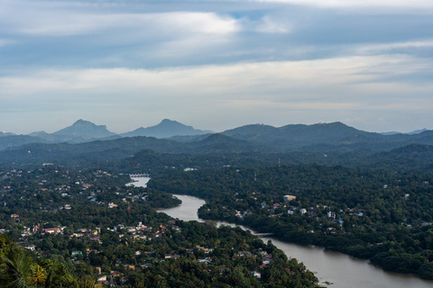 Kandy: Private Tuk Tuk Tour with Tea Tasting & Village Visit