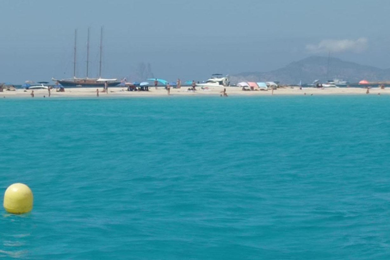 Tour: &quot;Ibiza-Formentera&quot; from the sea in private boat