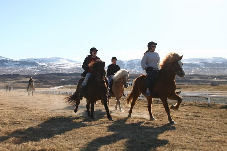 Varmahlid: 1-Hour Icelandic Horse Riding Tour