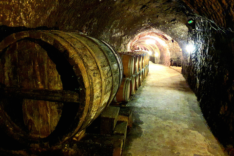 Ribera del Duero Sightseeing Tour: From Madrid to the Ribera del Duero - lunch included RIBERA DEL DUERO WITH FULL LUNCH INCLUDED