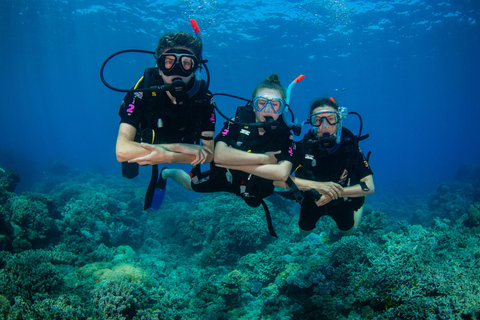 Cairns: Best Value All-inclusive Reef Trip With Scuba Dive