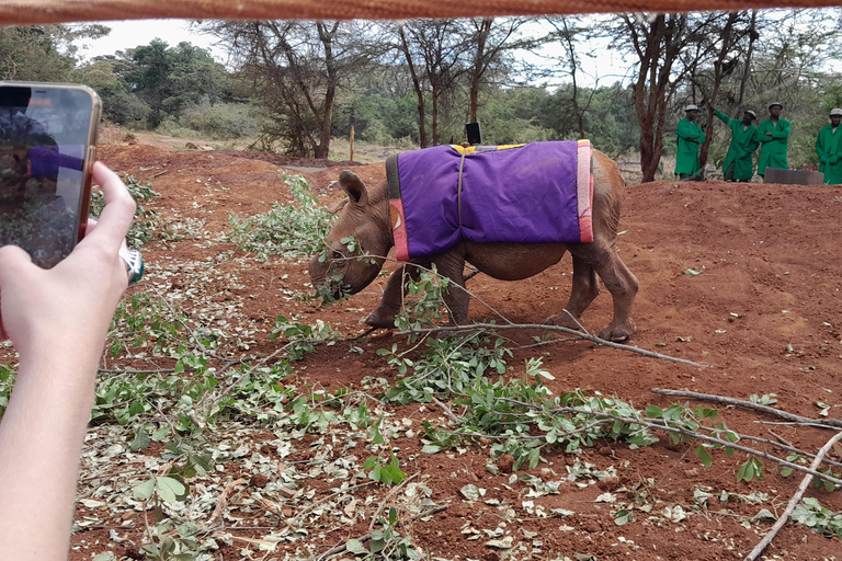 Giraffe, Elephant orphanage&amp; Bomas of Kenya Day Tour