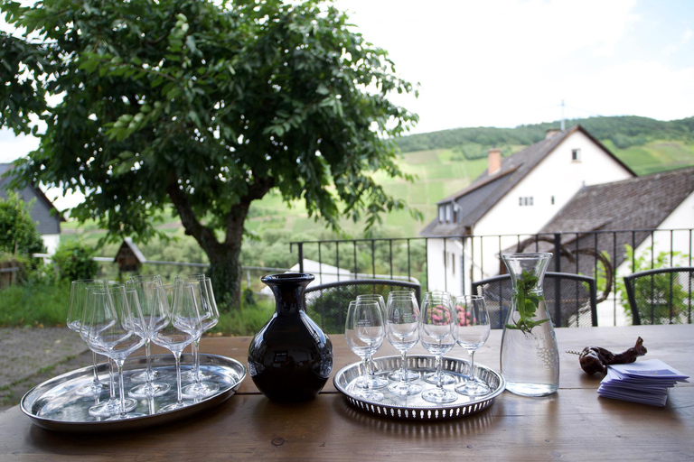 Reil, Mosela: Cata guiada de vinos ecológicos y visita a la bodegaReil, Mosela: Visita guiada a la bodega y cata de vinos ecológicos.