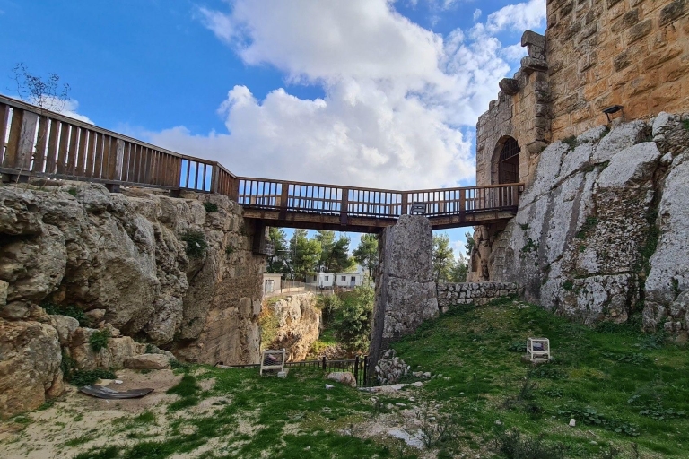 Van Amman: Jerash, Ajloun Castle & Umm Qais privétour