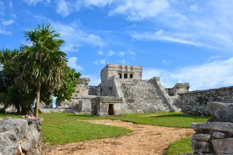 Riviera Maya: Ruiny Tulum i 2 Cenoty - półdniowa wycieczka
