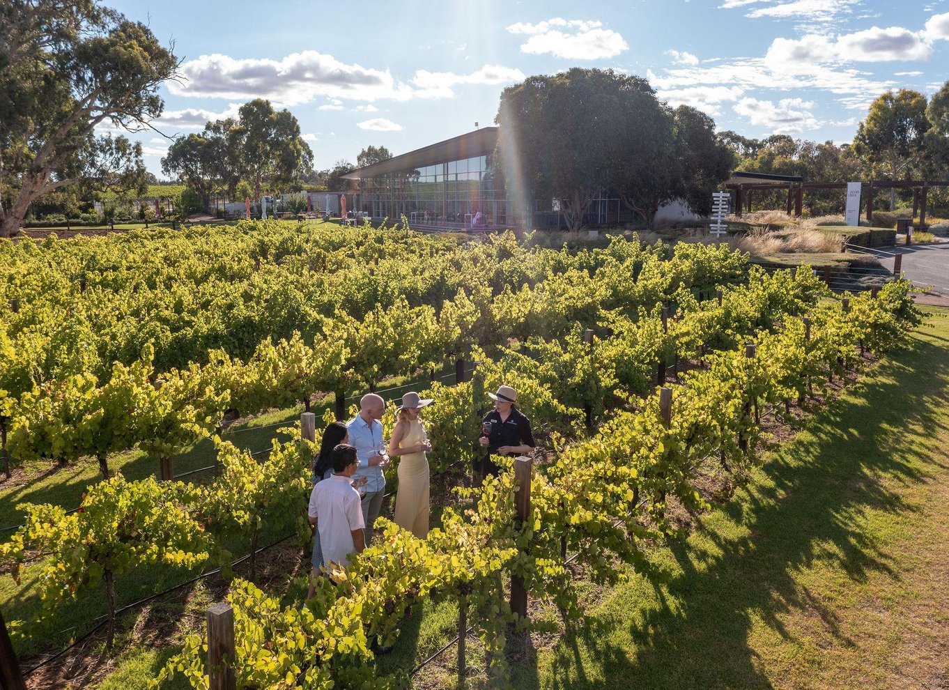 Barossa Valley: Perfekt picnic i Jacob's Creek