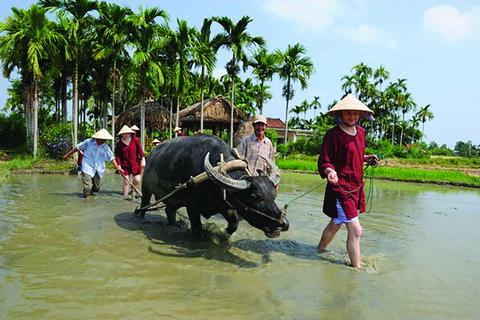 Hoi An: Jordbruks- och fisketur med båttur i korg