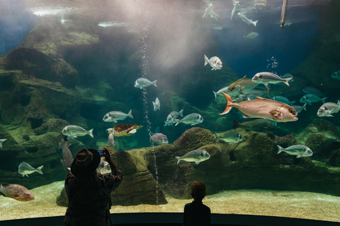 Heraklion Area: CRETAquarium Admission Ticket Skip-the-Line Admission Ticket