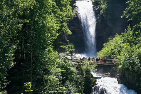 Excursão a Brienz, Iseltwald e Cataratas de GiessbachExcursão a Brienz, Iseltwald e às Cataratas de Giessbach