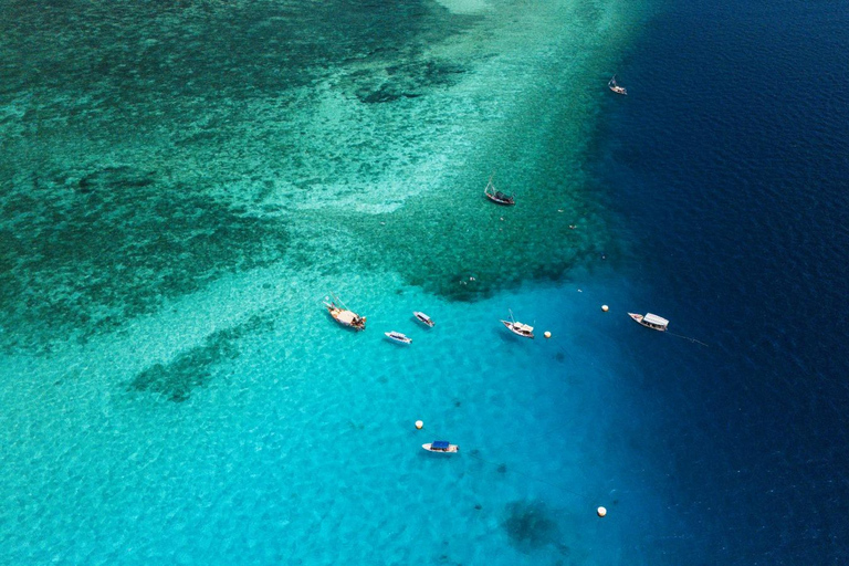 Zanzibar: Mnemba Island Snorkeling with Transfer & Lunch Zanzibar: Mnemba Island Snorkeling with Transfer & Lunch