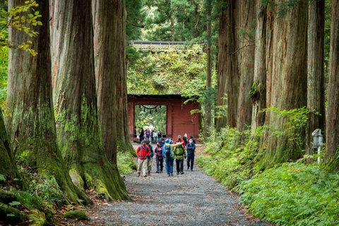 Private Nagano Luxury Cultural & Nature Day Tour from Tokyo