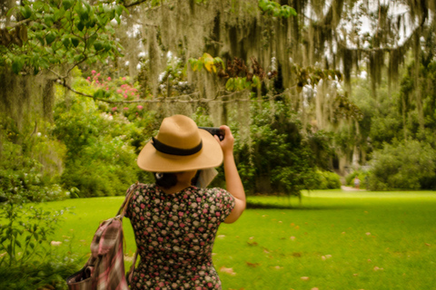 Charleston: Plantación Magnolia con transporte y tour de la ciudad