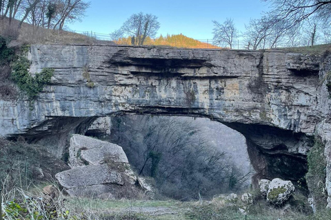 Från Verona: rundtur i Gardasjön, Bardolino och Valpolicella!Från Verona: Gardasjön och Valpolicella!