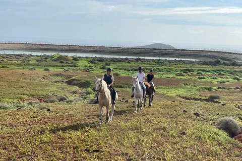 Excursión a caballo de una hora en Gran Canaria