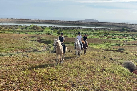 Randonnée à cheval d'une heure à Gran Canaria