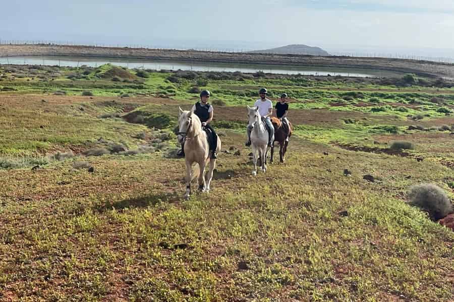 1 Stunde entspannender Reitausflug auf Gran Canaria. Foto: GetYourGuide