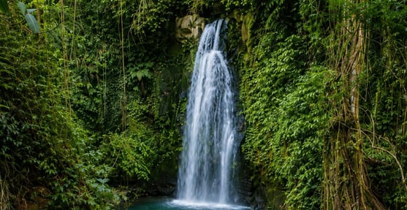 Ubud Private Tour: Art, Nature & Adventure
