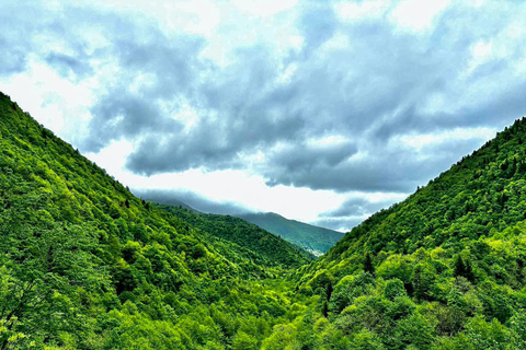 Tbilisi: Birdwatching Tour with Guide