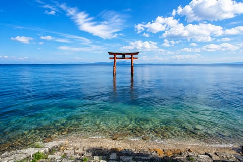 Lake Biwa: The Sacred Island & the Floating Torii from Osaka - Image 2