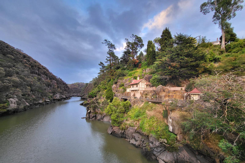 Tasmanie : 6 jours d'excursion dans la nature au départ de HobartMotel Chambre double