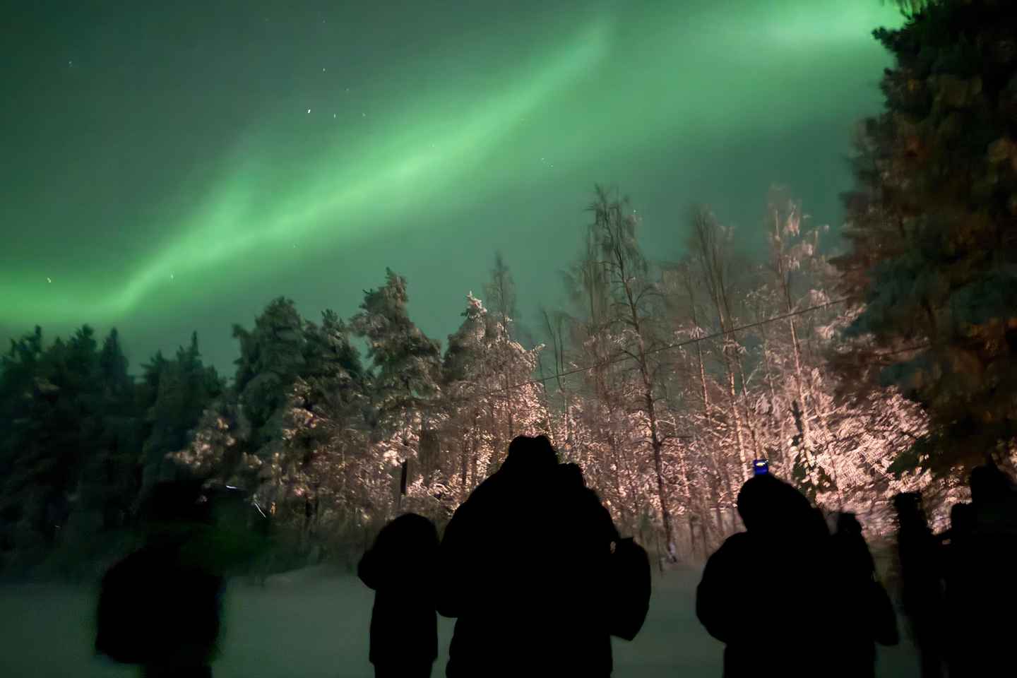 Northern Lights Tour with BBQ and Drinks