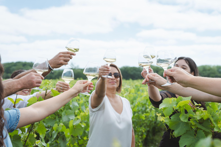 Nantes: Half-Day Wine Country Tour by Minibus Half-day tour