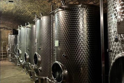 Taste and Tour Small Organic Wineries with a Winemaker