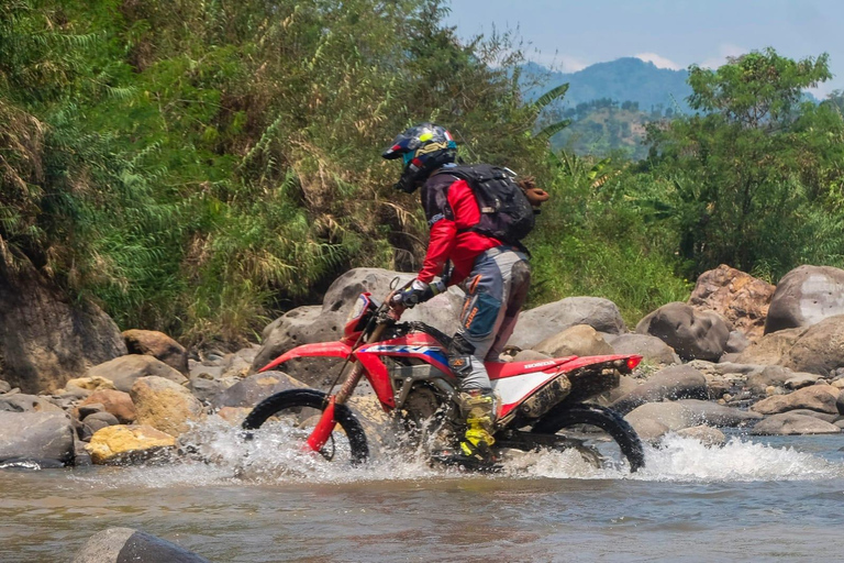 Jakarta: Guided Motorcycle Tour with Lunch and Coffee