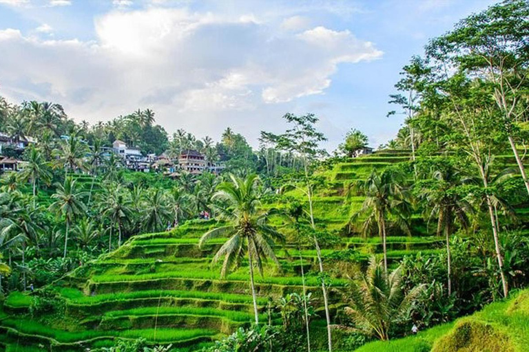 Private Bali Tour Charter