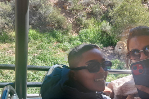 Cape Town Aquilla big sunset safari With transport & food aquila sunset bestseller