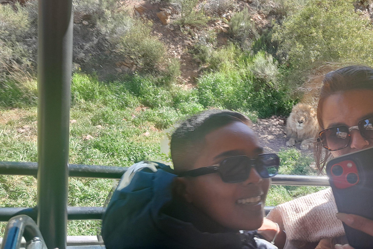 Cape Town Aquilla big sunset safari With transport & food aquila sunset bestseller