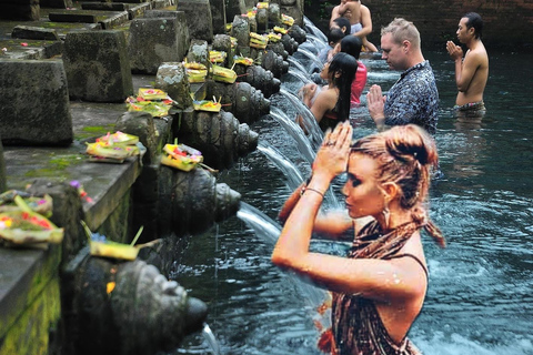 Ubud Tour: Monkey Forest, Tegalalang Rice Terrace, & temple