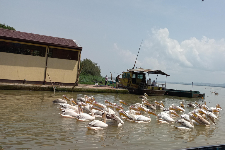 Bahir Dar:2-Day Blue Nile Falls &amp; Lake Tana Monasteries Tour