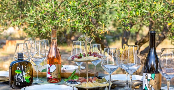 Zadar: Winery & Olive Oil Tasting & Cellar Tour