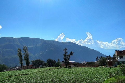 Huaraz: Heldag Laguna Llanganuco + Yungay + Carhuaz