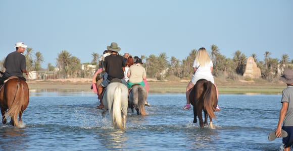 Djerba: 2h Horse Ride on Beach & Berber Trails Experience