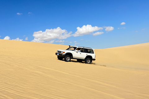 Dal Cairo: Safari nel deserto, giro in cammello, lago magico e pranzoTour condiviso in tedesco con pranzo