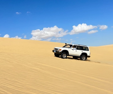 Do Cairo: Safari no deserto, passeio de camelo, lago mágico e almoço