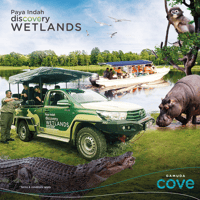 Selangor, Paya Indah Discovery Disols à Gamuda Cove - Housity