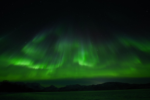 Tromsø: Northern Lights Tour – Unlimited Chase & Free Photos 6-8 Hours, Aurora chase, Comfortable bus, Photos included