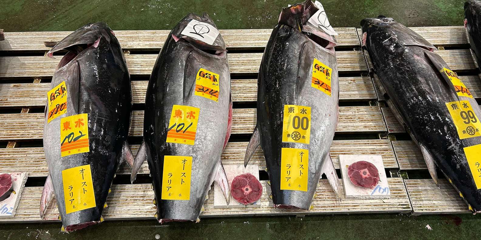 Tokyo tuna auction tour — Toyosu bluefin auction, hand signals, Sushi Dai breakfast — image 2