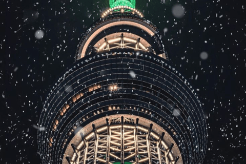 Tokyo Full Day Customizable Private Tour with English Guide