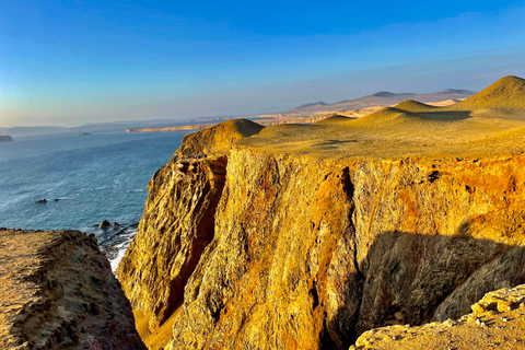 PREMIUM TREKKING GOLDEN SHADES