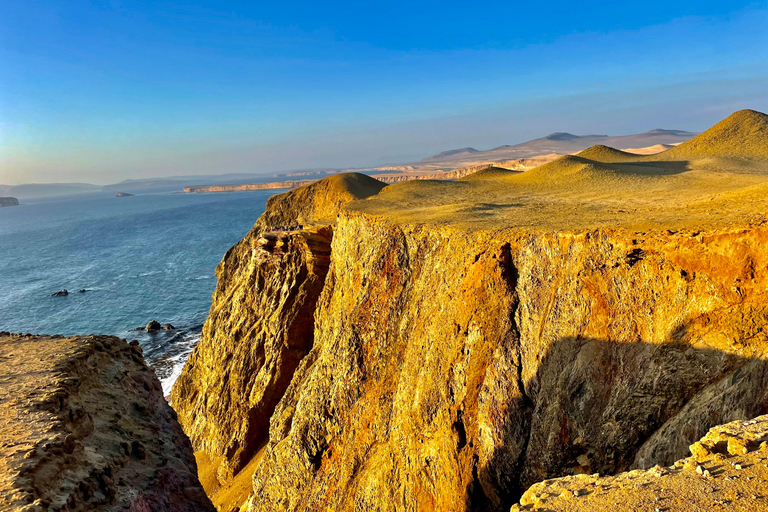 PREMIUM TREKKING GOLDEN SHADES