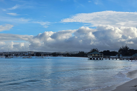 Barbados: Tour guiado panorâmico particular