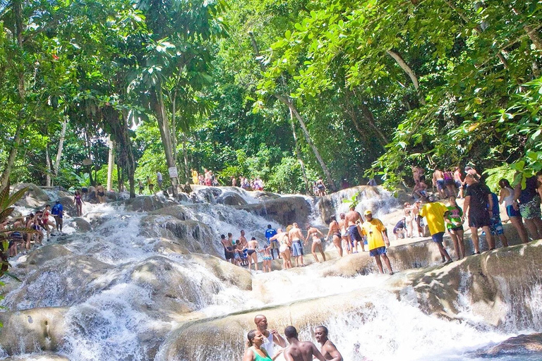 Bob Marley Mausoleum & Dunn’s River Falls Private Tour