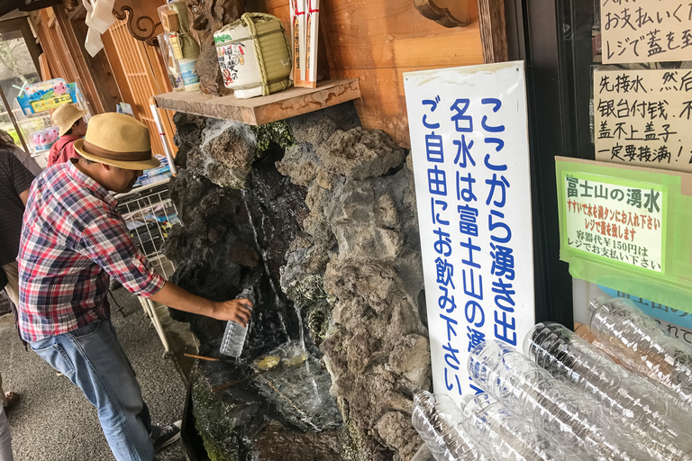 Da Tokyo: Escursione di una giornata intera sul Monte FujiDalla stazione di Shinjuku